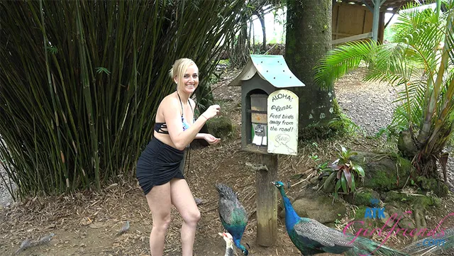 On One of Your Stops Kate Sucks Your Cock in the Car
