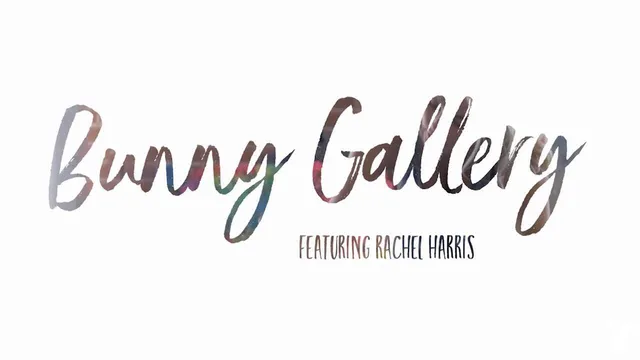 Bunny Gallery