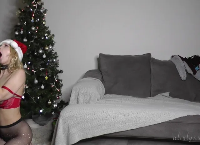 The Christmas Cocksucker - Santa Gets A Blowie