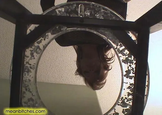 Mercedes Ashley POV Slave Orders -2004