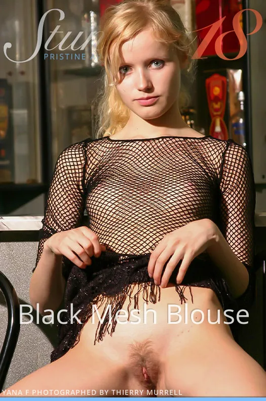 Yana - Black Mesh Blouse
