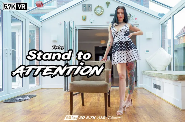 Stand to Attention