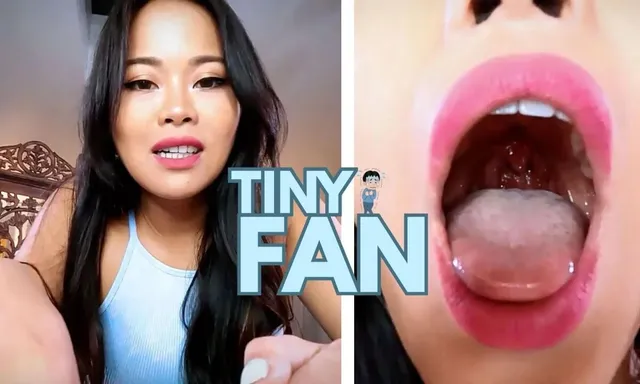 Tiny Fan Feat Astrodomina