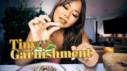 Tiny Garnishment Feat Astrodomina (HD MP4)