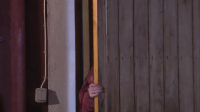 Lisa Sommer, Anal Virgin