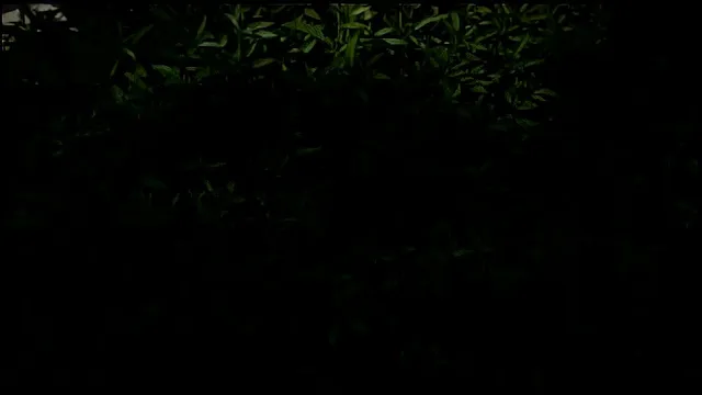 cherry rain blowjob and facial from nikko night