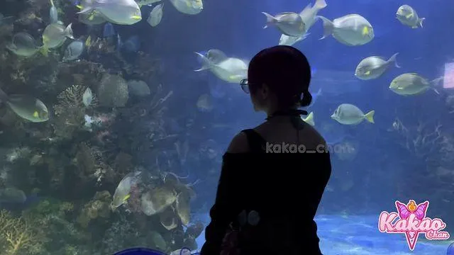 Kakao Chan Aquarium Date Vlog