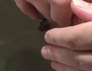 Becky Berry Behind the Scenes POV Blowjob Cumplay and Peeing
