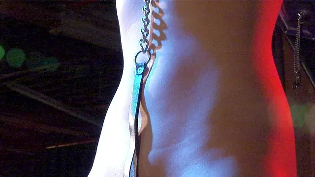 Tory Lane is a demented anal whore just like Brooke Scott