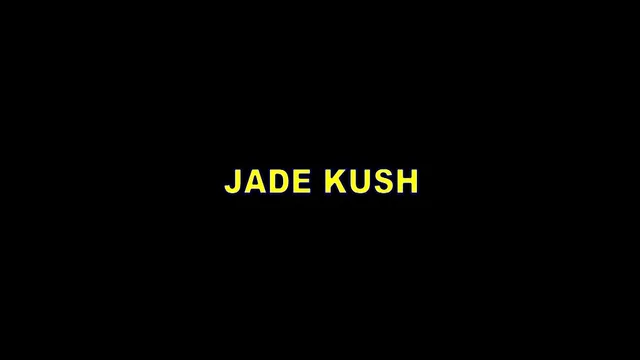 Jade Kush pigtail blowjob and tit fuck facial