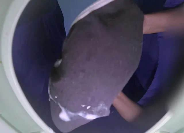 Dirty And Wet Panty