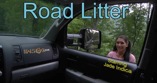 Road Litter