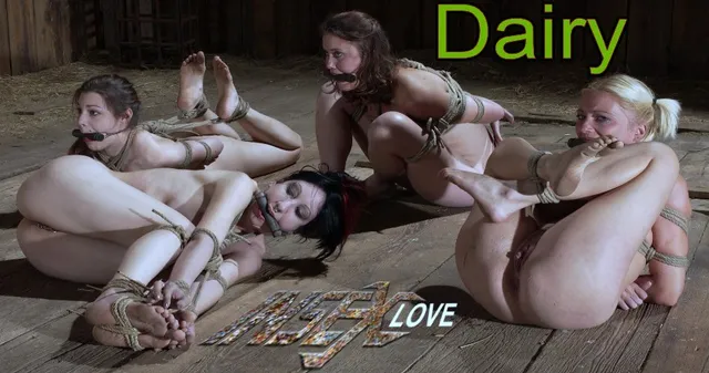 Dairy