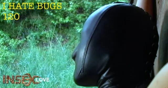 I Hate Bugs