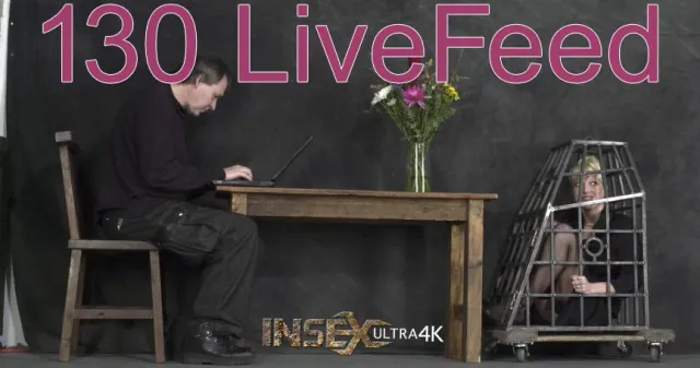 130 Livefeed